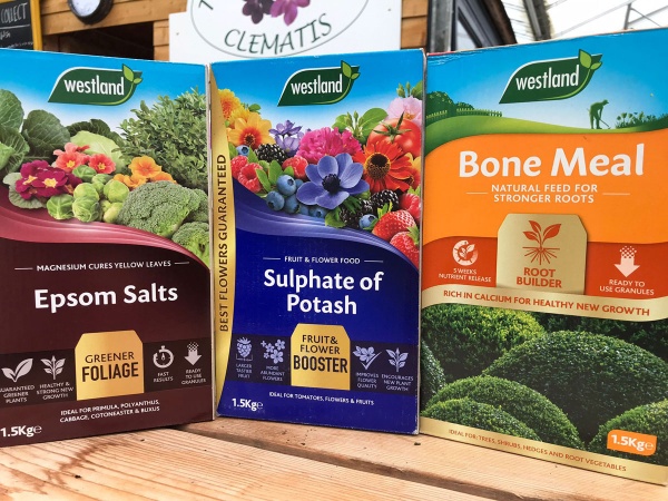 Care Pack Classic - Essential Feeds